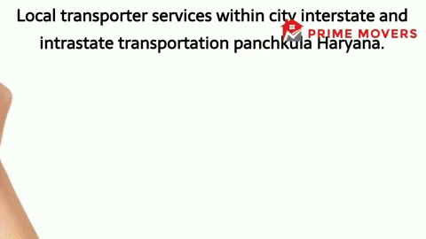 Panchkula Local transporter and logistics services (not efficient)