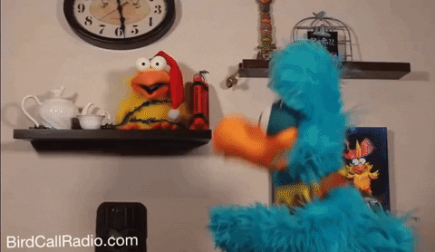 Christmas GIF - Find &amp; Share on GIPHY