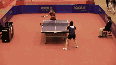 ping pong america sport means table tennis