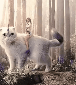 taylor swift riding a giant cat