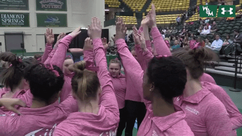 William & Mary Tribe Athletics GIF