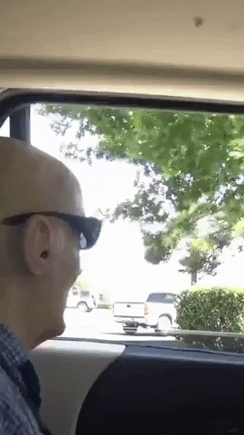Seatbelts are important in funny gifs