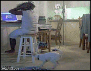 https://media.giphy.com/media/SyDQUGYAIskyk/giphy.gif