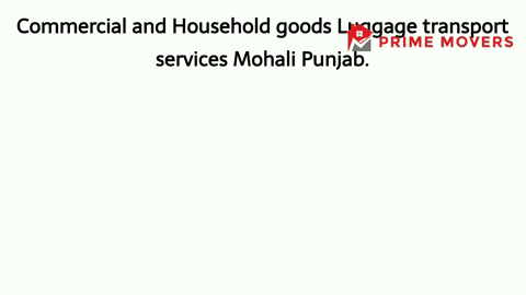 Luggage transport services Mohali to All India
