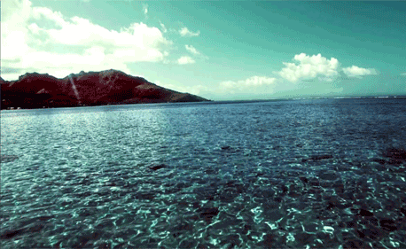 Island GIF - Find & Share on GIPHY