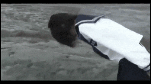 Котожук!