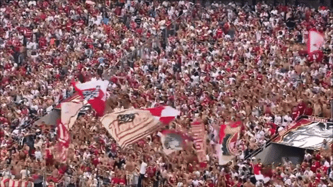 Fc Cologne GIF by 1. FC Köln