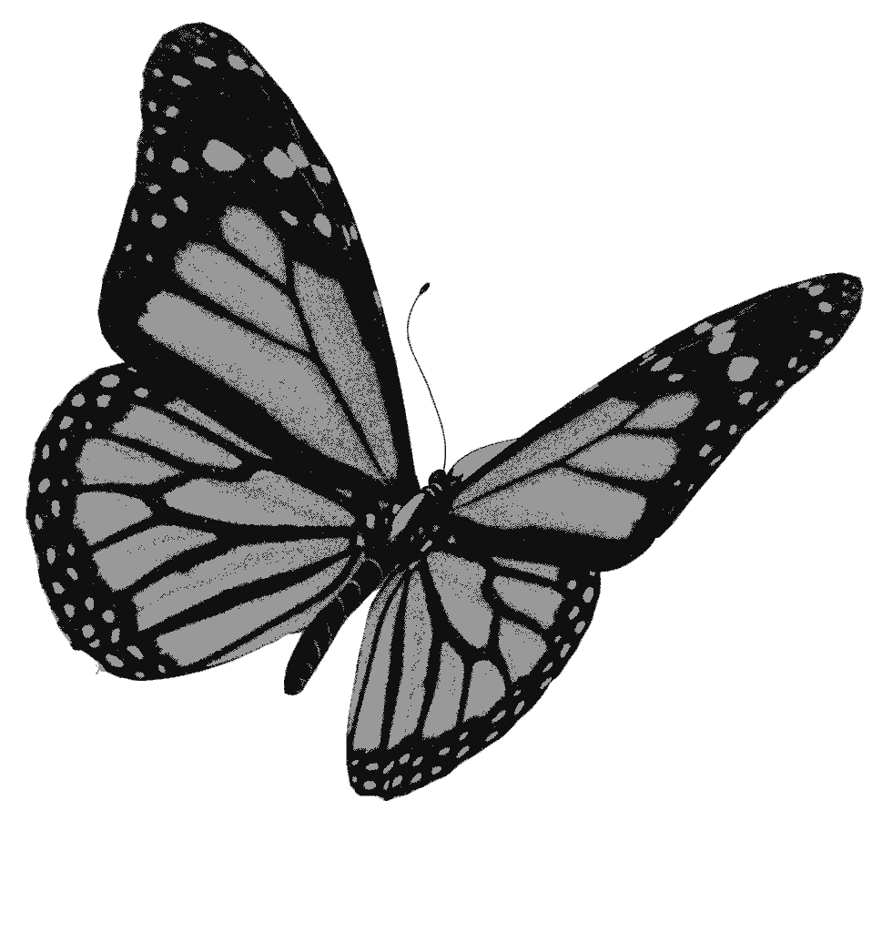 Image result for black butterfly gif