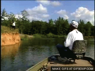 Fishing GIF Find Share On GIPHY