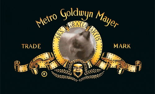 Cat Mgm GIF - Find & Share on GIPHY