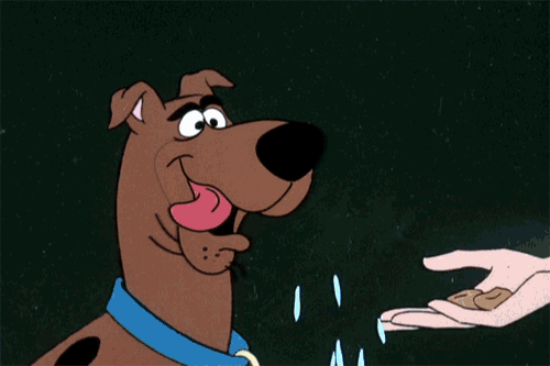Scooby Snacks GIFs - Find & Share on GIPHY