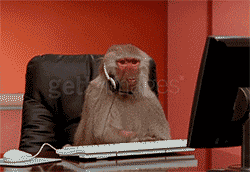 Stressed monkey before production