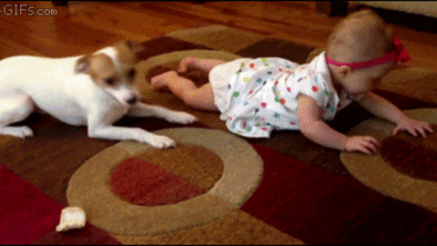 Crawling GIFs - Find & Share on GIPHY