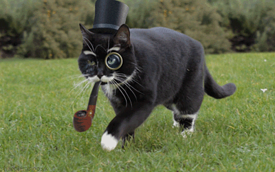 A distinguished-looking cat with top hat, monocle and pipe walks through some grass.
