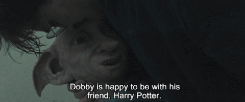 Las 15 muertes más dolorosas de los filmes de Harry Potter que jamás  podremos superar. ¡Oh, Dobby! | Upsocl