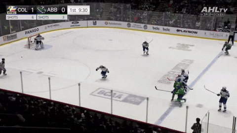 giphy.gif