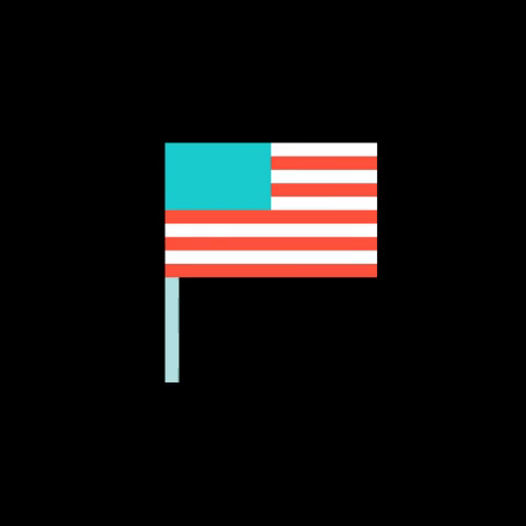 American Flag America GIF by Animoto - Find & Share on GIPHY