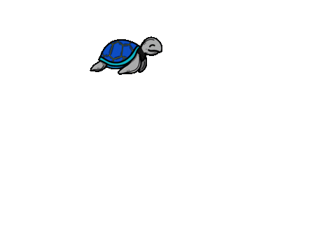 Turtle, hexagon animation