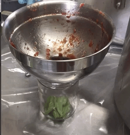 preparando salsa pomodoro