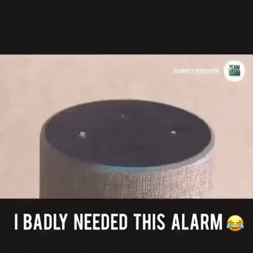 I badly need this alarm in funny gifs