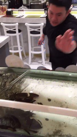 A Cool Crab in animals gifs