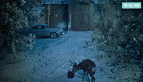 Rock Hudson Winter GIF by Turner Classic Movies
