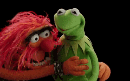 media.giphy.com/media/TGjXIOmDhfJFlY5NM5/giphy.gif