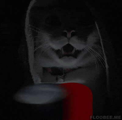 Catto and flashlight in gifgame gifs