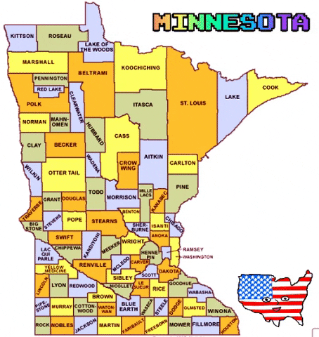 Minnesota Area Codes
