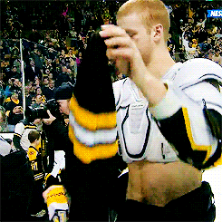 Boston Bruins Nhl GIF - Find & Share on GIPHY