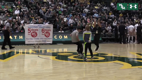 William & Mary Tribe Athletics GIF