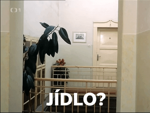 Česká televize GIF
