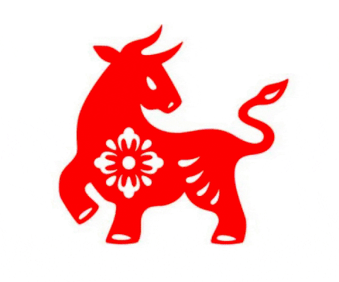 Animated GIF - Find & Share on GIPHY