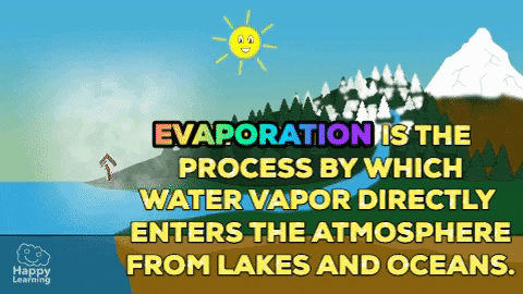 Mr. Gruszka's Earth Science GIFtionary: Day 044 - GIFtionary (The Water  Cycle)