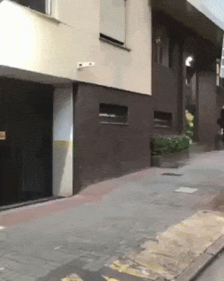 Real life problem and solution in funny gifs
