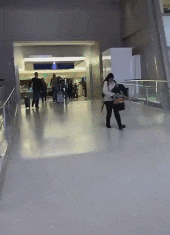 Future is now in fail gifs