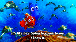 Finding Nemo GIF