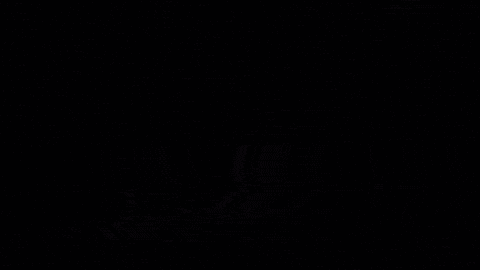 giphy-downsized-large.gif