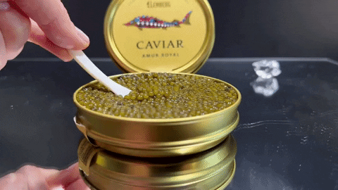 Sturgeon Caviar AMUR ROYAL