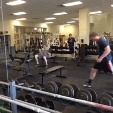  gym GIF