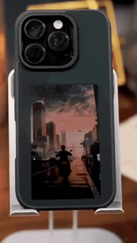 GIF 1
