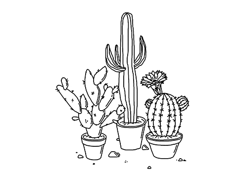 Gif avec des cactus dessinés qui bougent