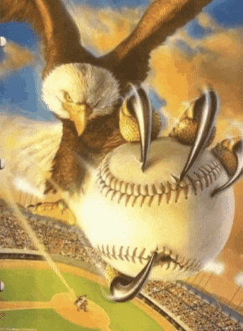 Eagle Catches Baseball Ball