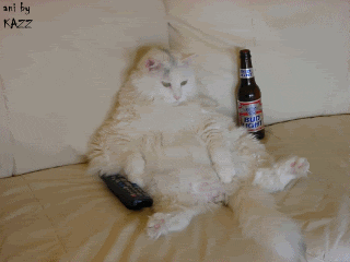Couch Potato Drinking GIF