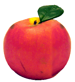 gif animator apple