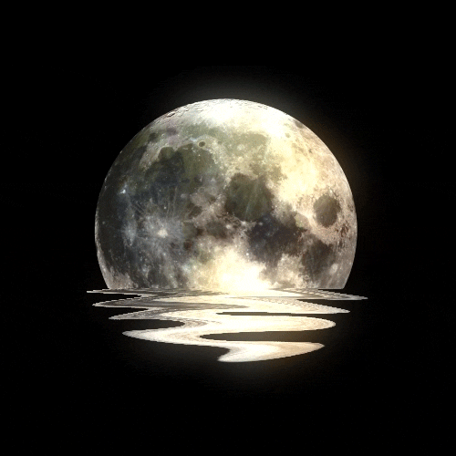 Full Moon Art GIF by kidmograph - Find & Share on GIPHY
