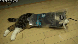 Cheezburger animated GIF