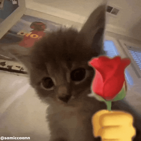 GIF