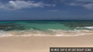 Beach Gif Find Share On Giphy