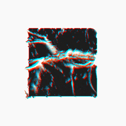 Animation Design GIF by James Zanoni Find & Share on GIPHY